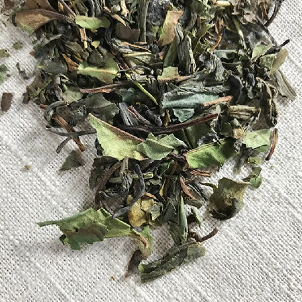 Fusion Green And White Tea
